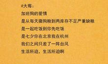 很难不爱她_600字