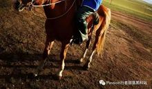 [大梦想家]我愿_350字