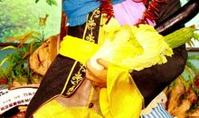 [大梦想家]荷儿浅浅,尚可知女意？_1000字