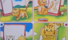 哲理故事：镜子_550字