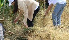 [大梦想家]大学梦，青春行_700字