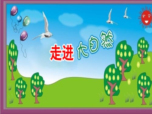 [超级新星小学]进入自然_450字