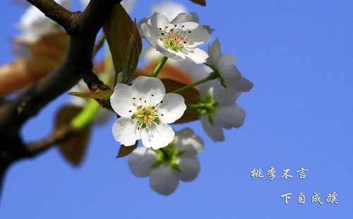 成语故事：陶莉说，底部本身_500字