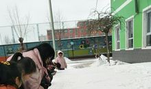 童年趣事之种雪_450字