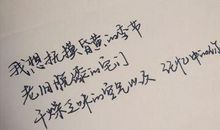 关于未来的句子：奇妙的字典的句子_550字