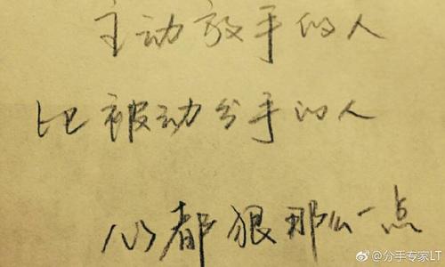关于未来句子：我们的未来不是梦想判决_750字
