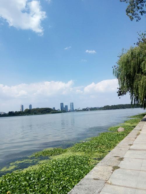 去北湖的湖边，吹风吹来，湖的水是如此新鲜，人们觉得上帝刷新，它立即百次。