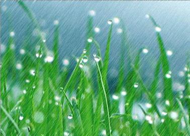 顽皮的春雨_150字