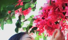 未来，我会听到花开的声音_1500字