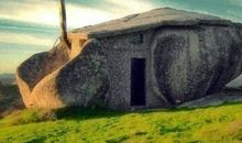 有趣的房子_450字