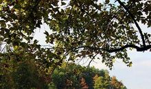 美丽的龙川公园_350字