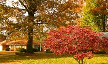 [秋天的童话]在秋天醒来的梦_900字