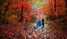 [秋天的童话] 秋，你如诗如画。 　_750字