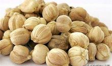 豆蔻（4）_1200字