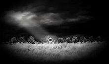 悲伤的苦痛_2000字