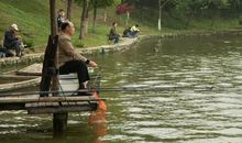 第一次钓鱼_600字