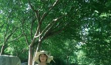 静坐时光巷陌，看彼岸花开_2000字