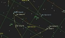 我冷漠了，再一次冷漠了_150字