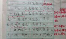 如果太阳愿意_300字