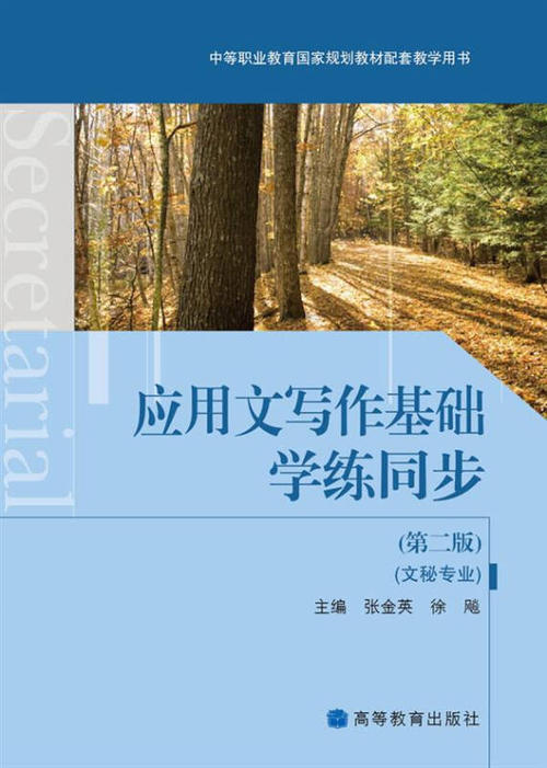 写作基础：应用程序编写_3000字