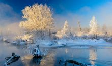 魔界（一）南海国的人鱼公主_600字