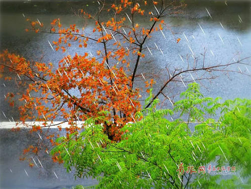 秋天的雨水滋润了成千上万的东西_300字
