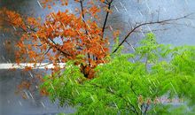 秋雨滋润了万物_300字