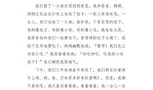 奶奶家的“常胜将军”_500字