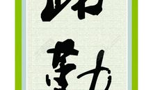 书山有路勤为径—中学生读书体会（二）