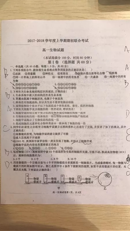 [七月谈]生活中的麻烦_450字