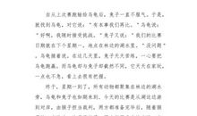 “龟兔赛跑”续写_650字