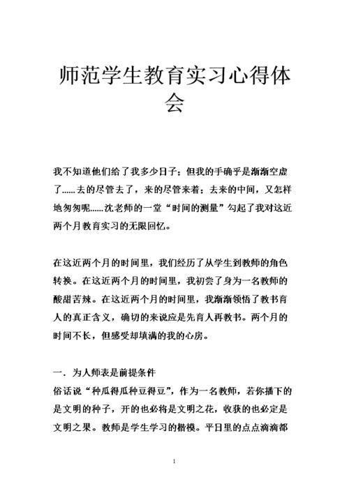 CPA实习经验