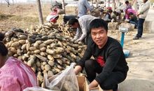 诸葛滕二孙濮阳传