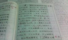 关于秋游的作文：秋游_450字