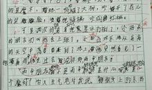 小雨点奇遇记_750字