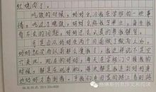 关于妈妈的作文：我的妈妈_550字