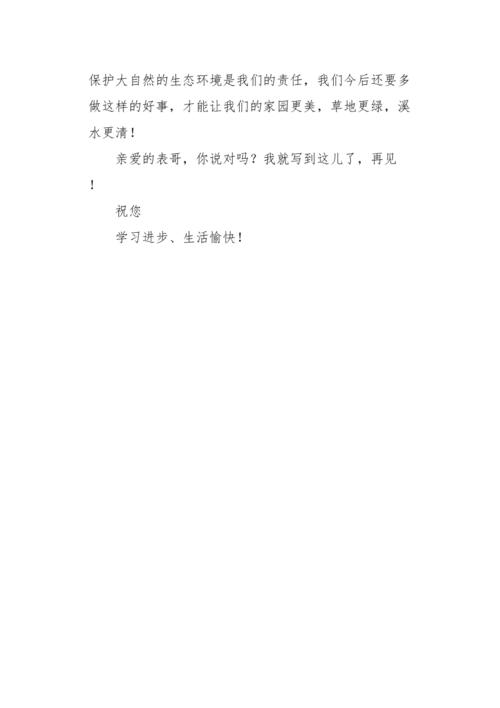 我的兄弟_400字
