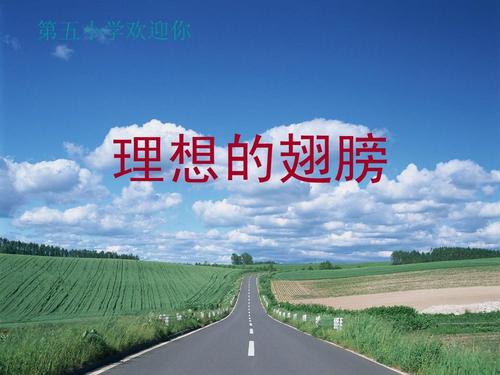 理想的翅膀_400字