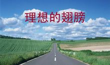 理想的翅膀_400字