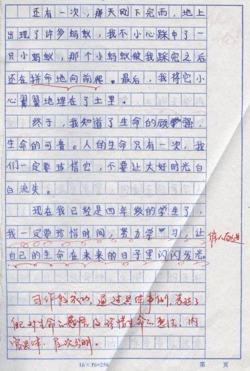 快乐的感觉_600字