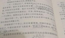 读书优美段落：《青铜葵花》段落_800字