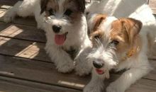 杰克与地下世界 26_800字