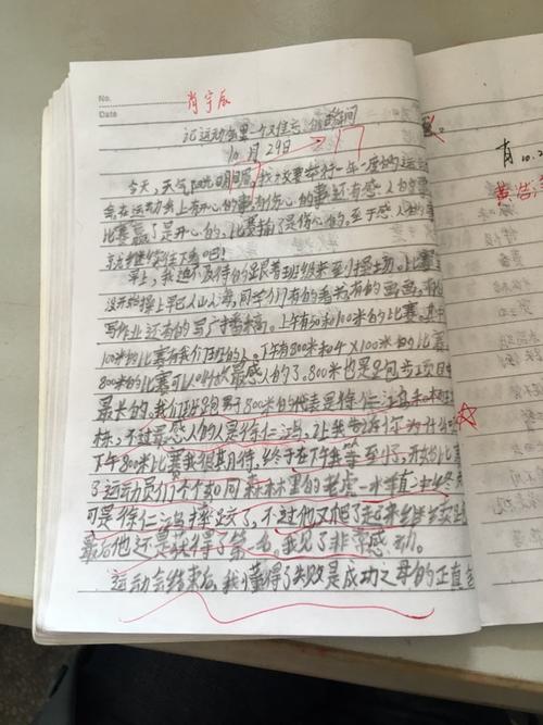 体育会议论文：体育会议_250字