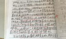 运动会感想的作文：运动会感想_250字
