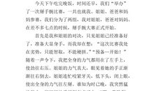 一个有趣的游戏_550字