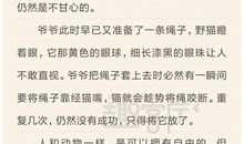 [PK赛]关于自由的作文：自由到底离我有多远？_700字
