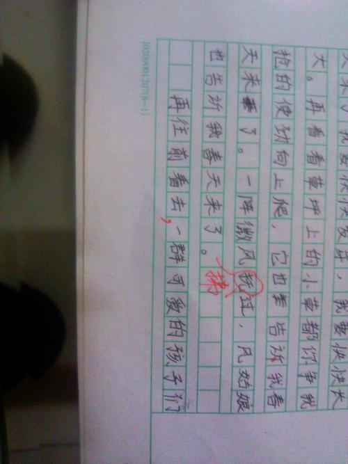 [PK旅游]自由作品：我只羡慕鸟_500字