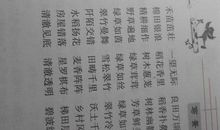 关于荷花的好句好段_250字