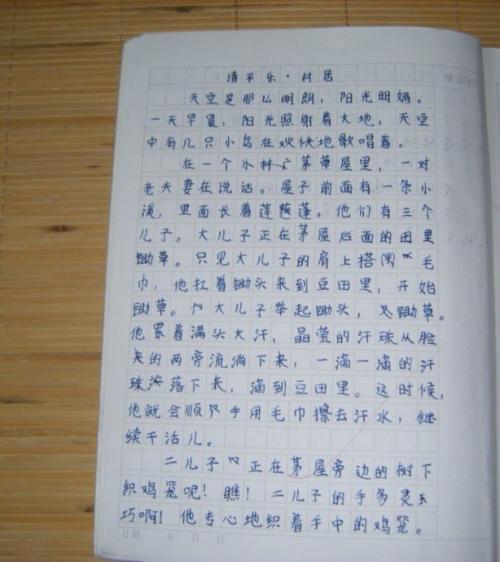 乌龟和兔子种族重写_300字