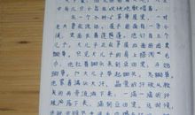 龟兔赛跑改写_300字